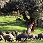 Complejo Rural Dehesa De Ituero *
