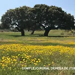 Holiday home Complejo Rural Dehesa De Ituero