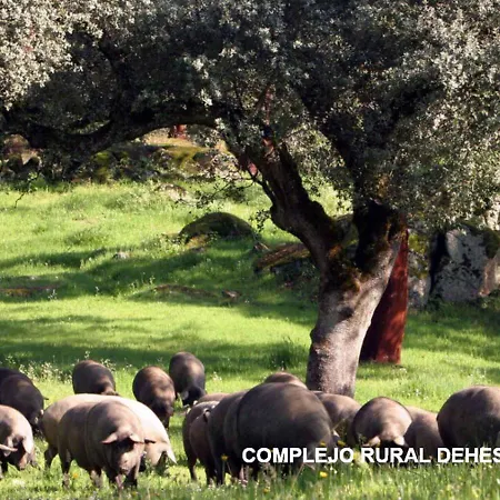 Complejo Rural Dehesa De Ituero *