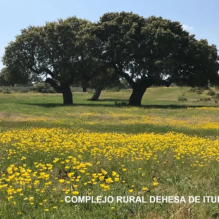 Holiday home Complejo Rural Dehesa De Ituero